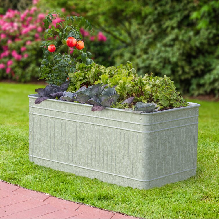 Gracie Oaks Ganley Metal Planter Box Reviews Wayfair